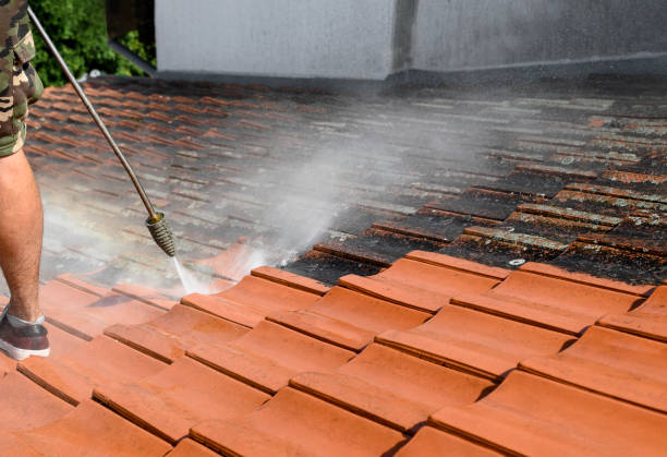 Best Affordable Power Washing  in Ptland, OR
